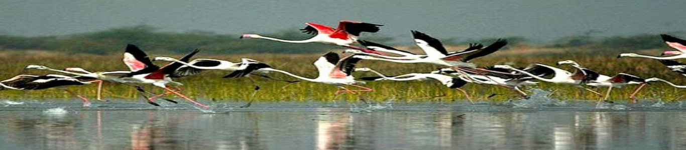 Bharatpur