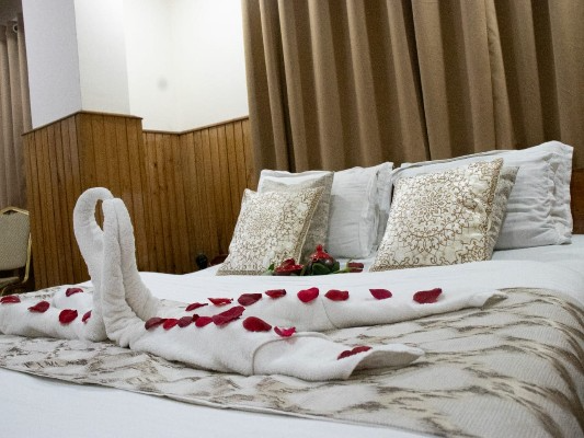 hotel-indus-parklane